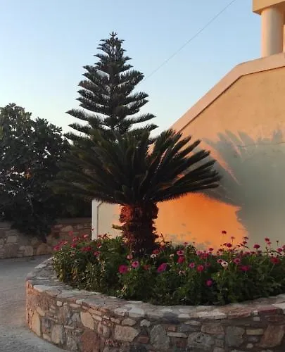 Small Patak House شقة بساليدي